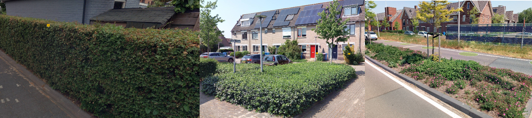 Voorbeeld van afbeelding